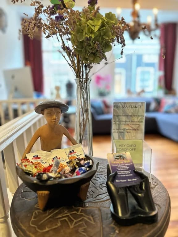 Amsterdam B&B Barangay - photo 24