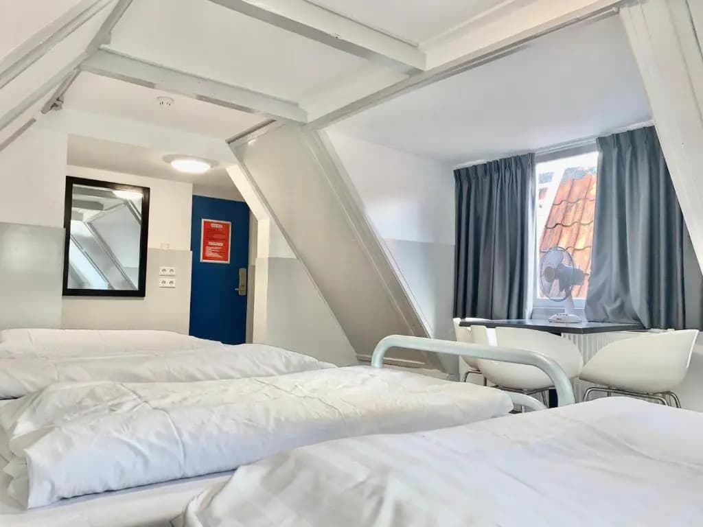 The White Tulip Hostel - photo 6