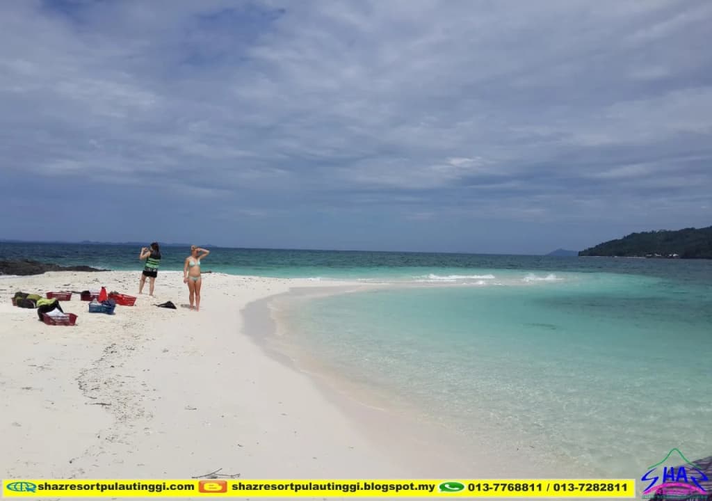 SHAZ Resort Pulau Tinggi - photo 8