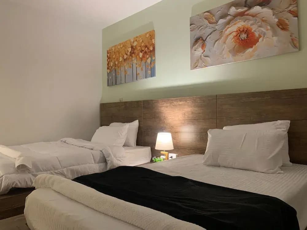 Casa De Elegant - photo 6