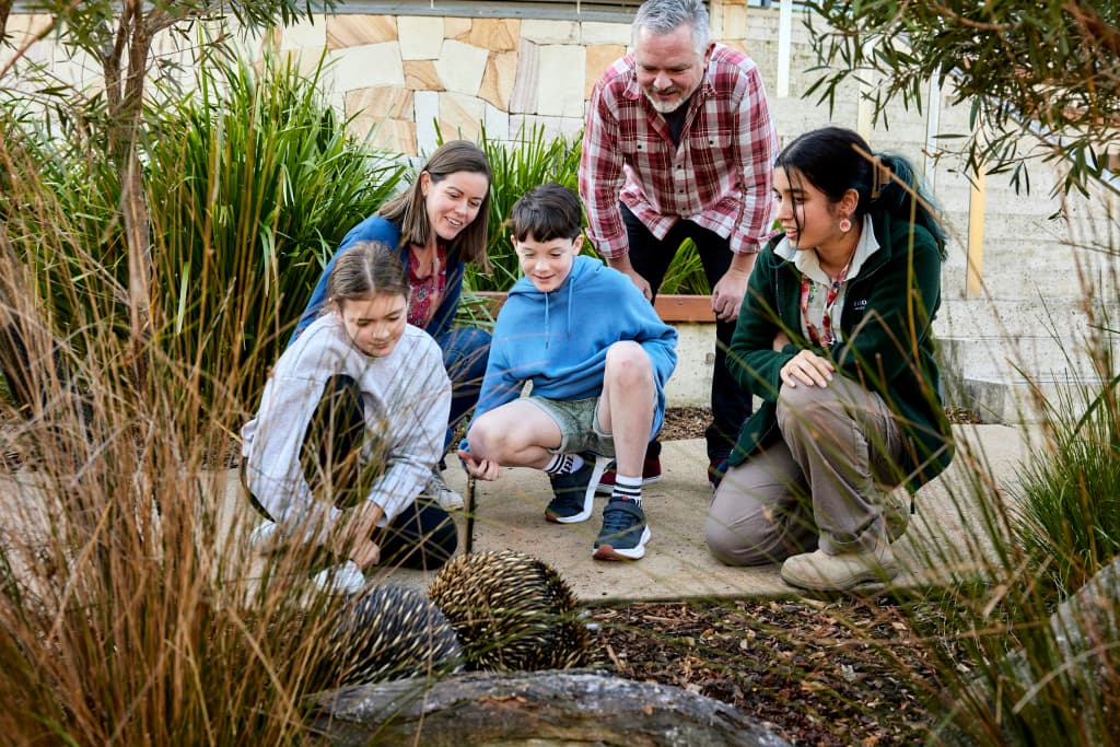 Wildlife Retreat at Taronga - photo 4