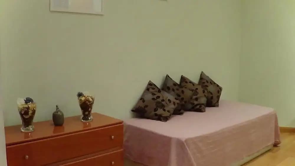 Gran Via Studio Apartments - photo 8