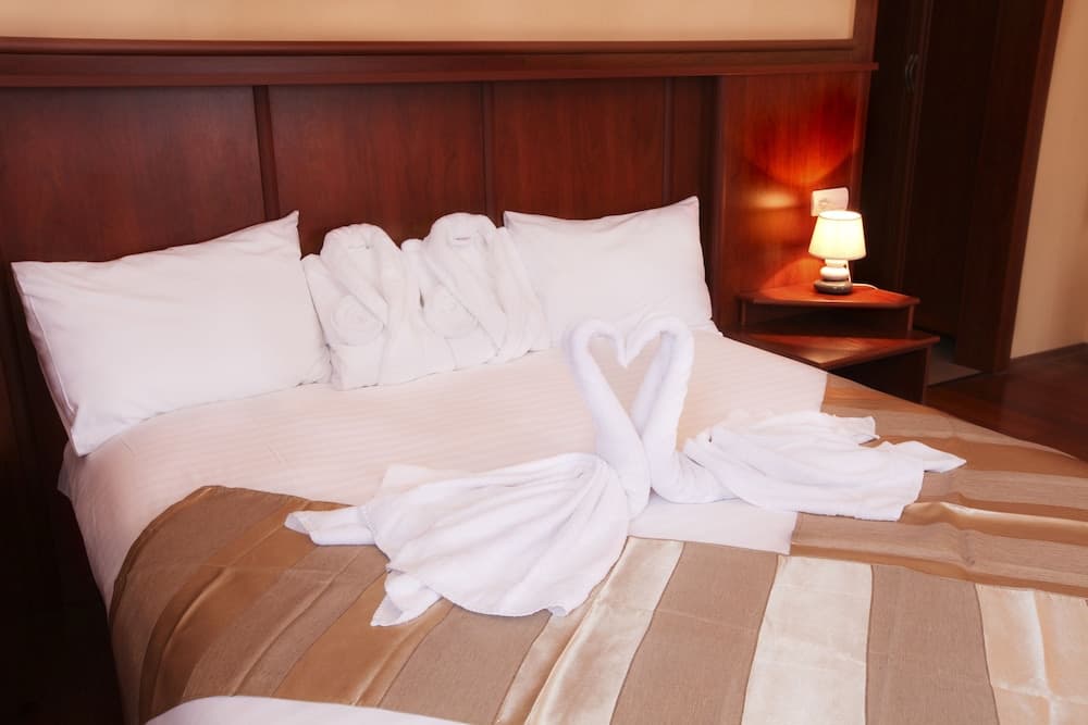 Aristocrat Hotel - photo 3