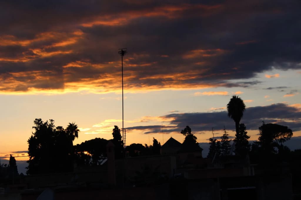 Riad Alamine - photo 14