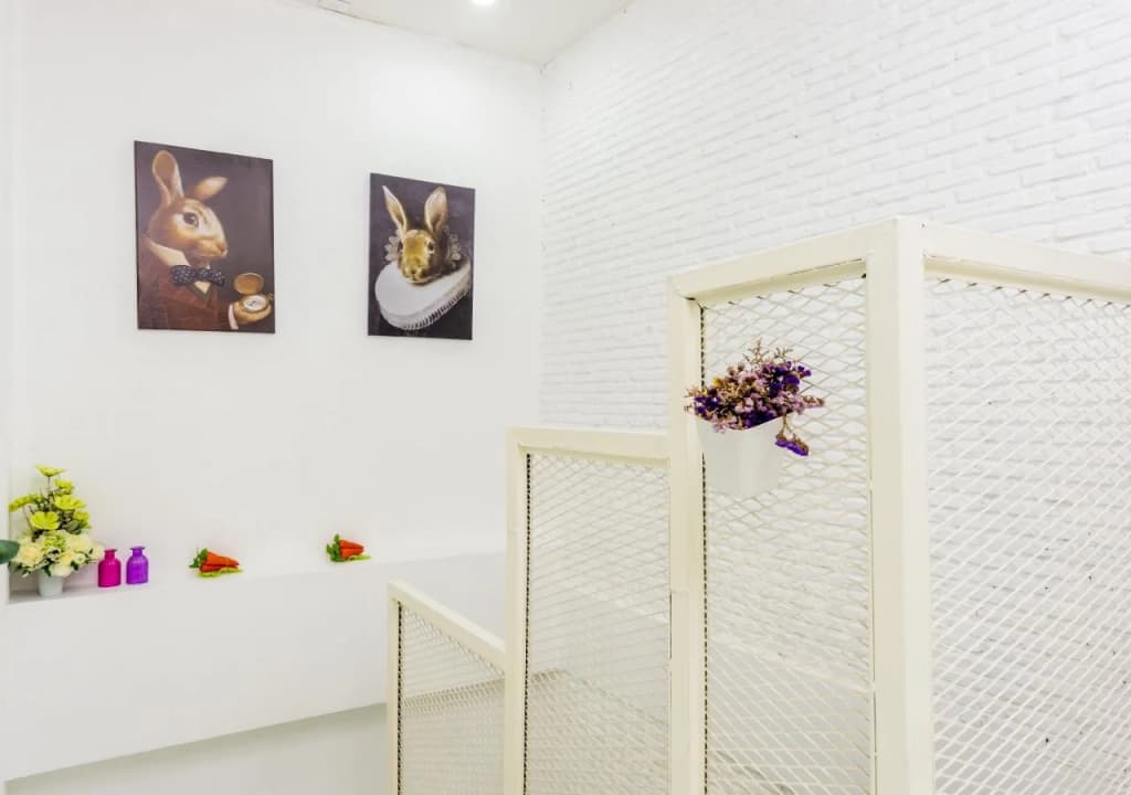 Rabbitat Hostel - photo 11