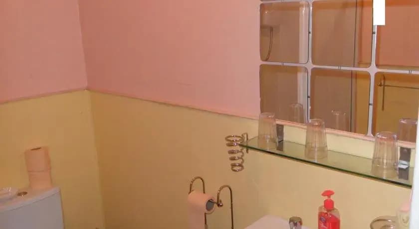 Ivy Guest House - photo 8