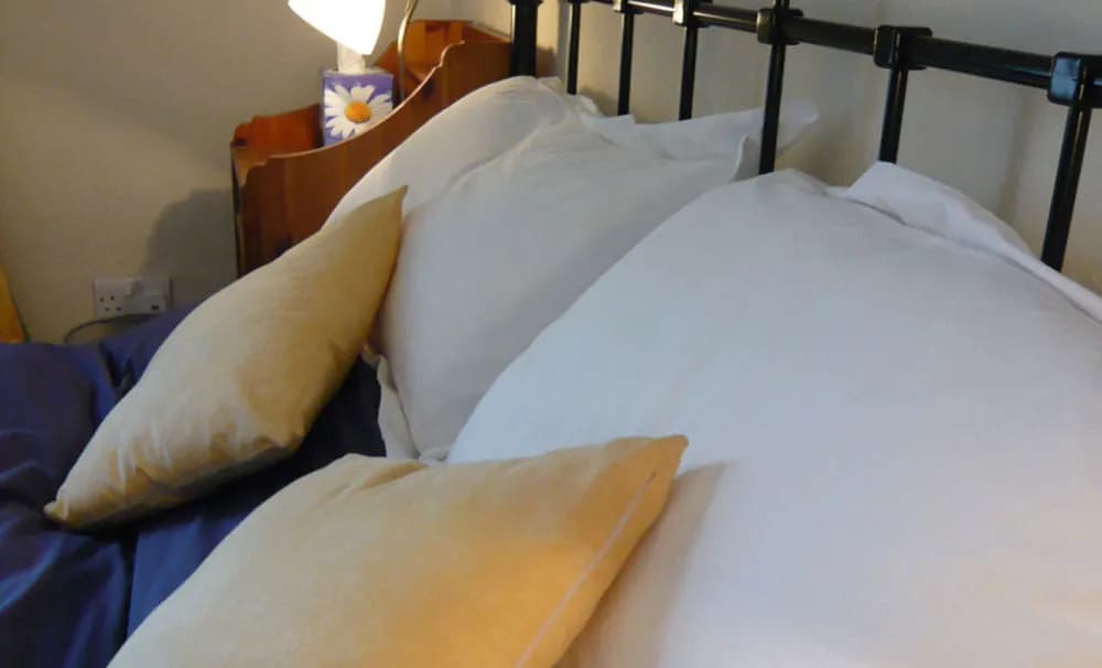 Silver Lining - Mile Apartments - photo 3
