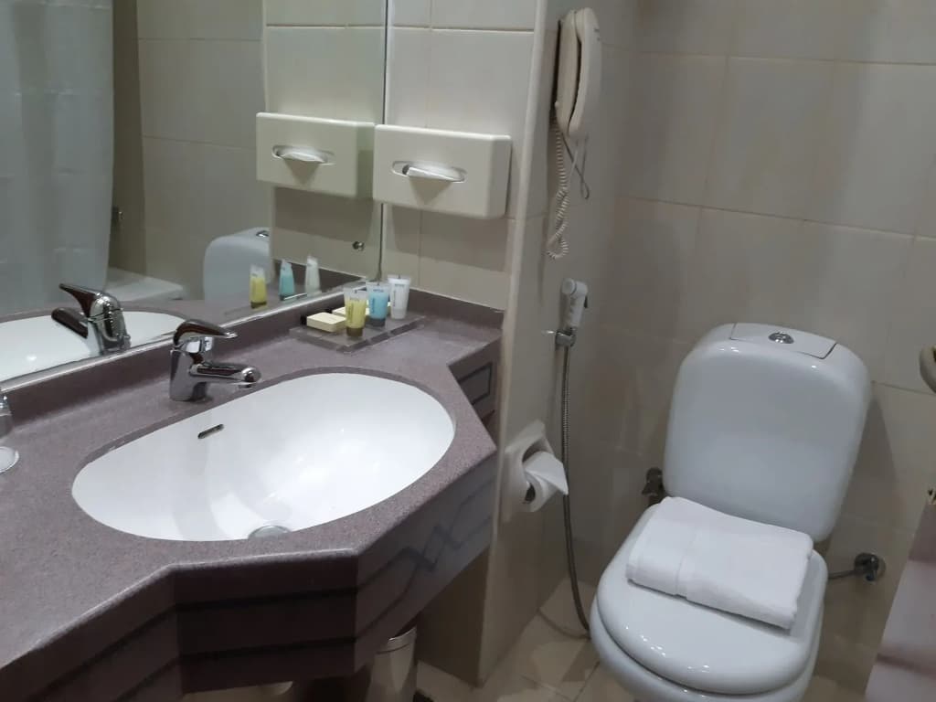 Lotus Grand Hotel Dubai - photo 19
