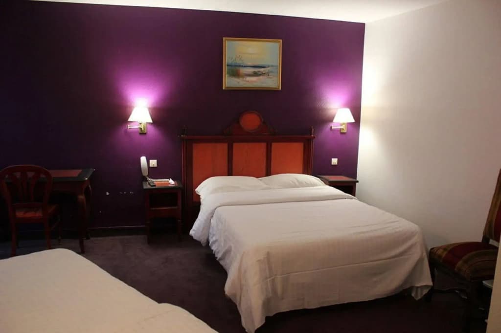 Hôtel Metropol - photo 7
