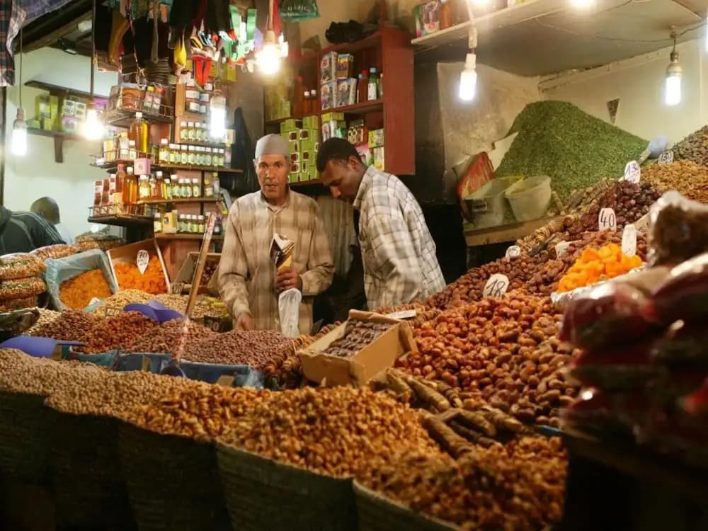 Riad Darhani - photo 10