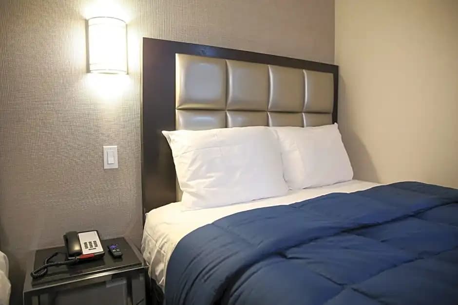 Vybe Hotel - photo 5