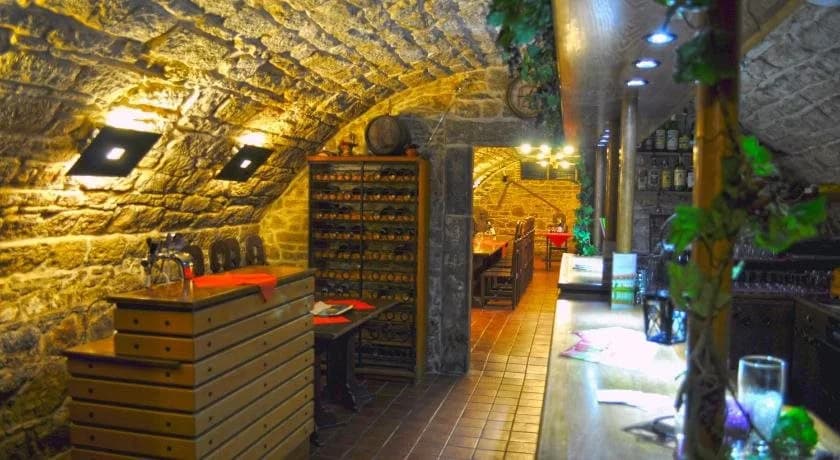Hotel Čertousy - photo 13