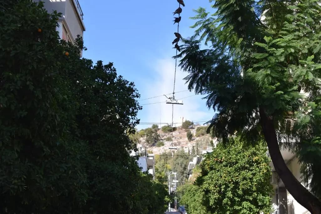 Absolute Athens I - photo 12