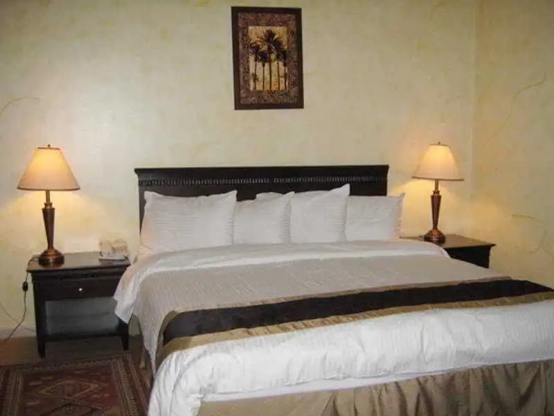 Al-Ghazal Suites Hotel - photo 2
