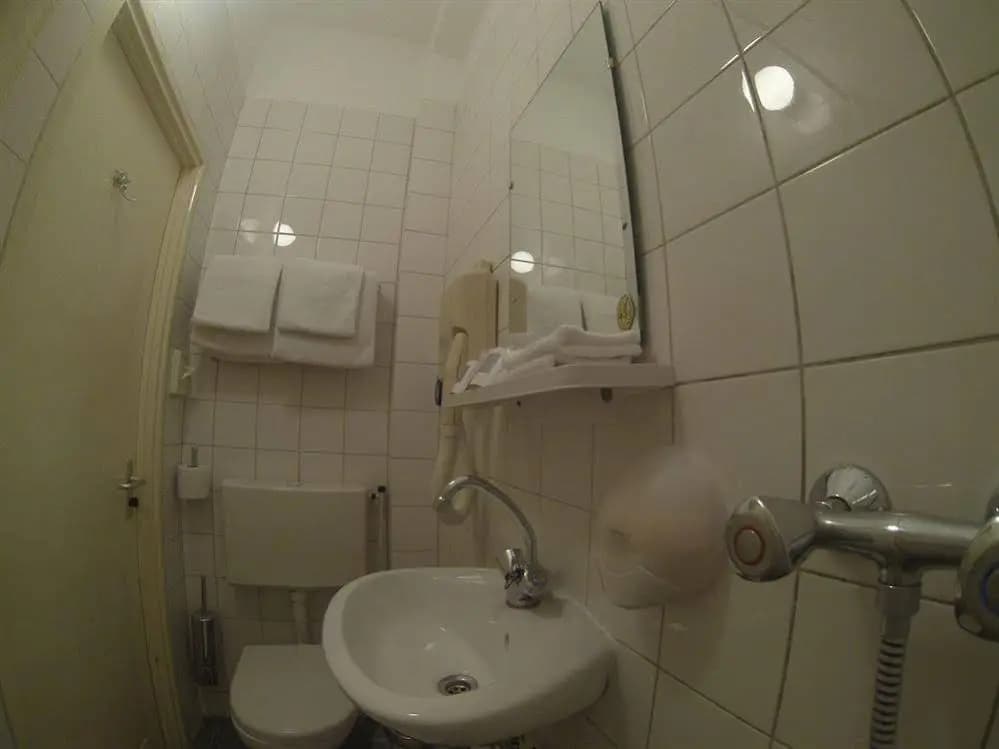 Hestia - photo 9