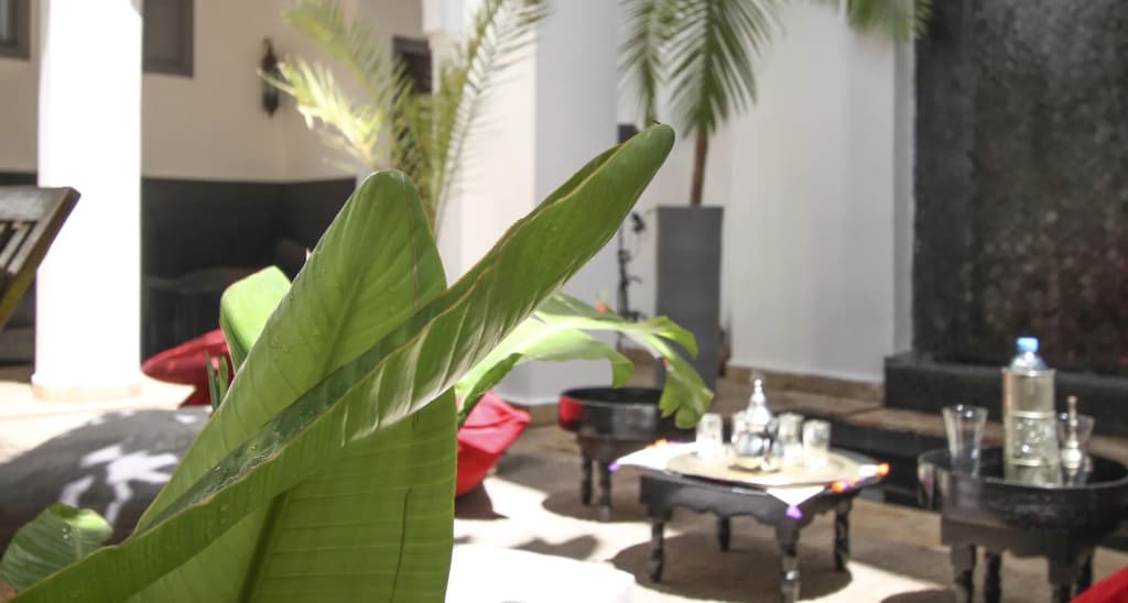 Riad 64 - photo 16