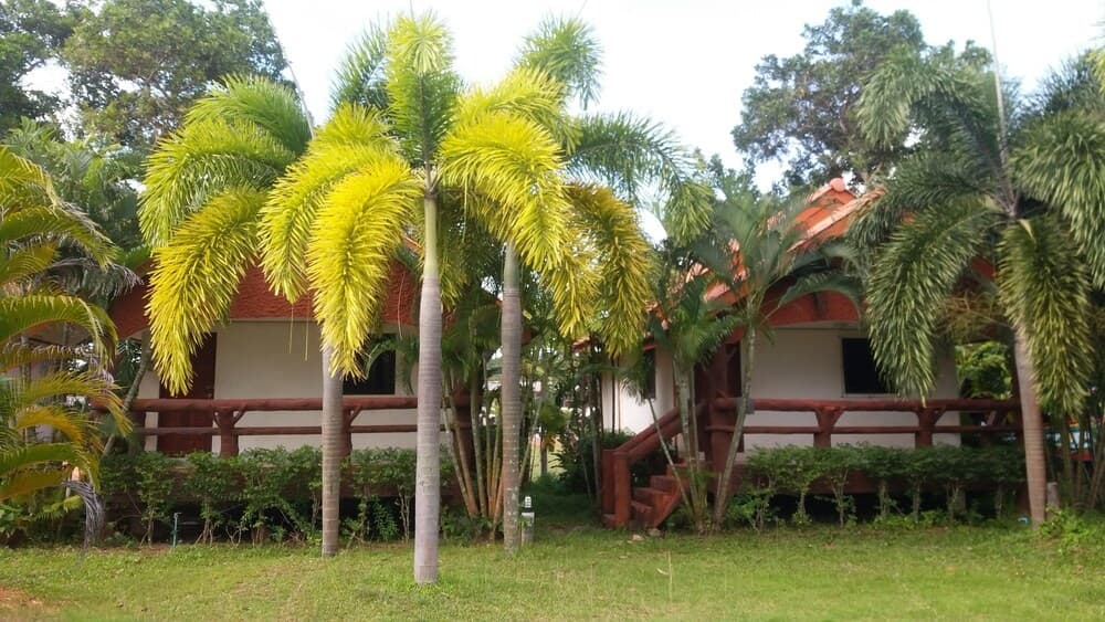 Lanta School Beach Resort - photo 18