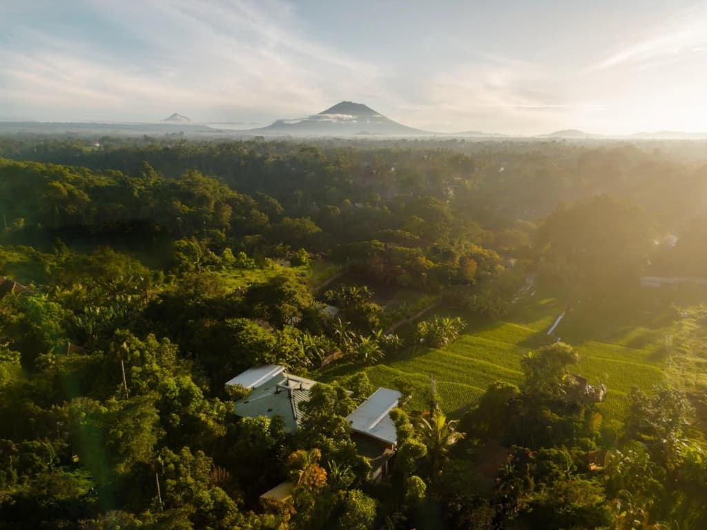 Grun Ubud - photo 2