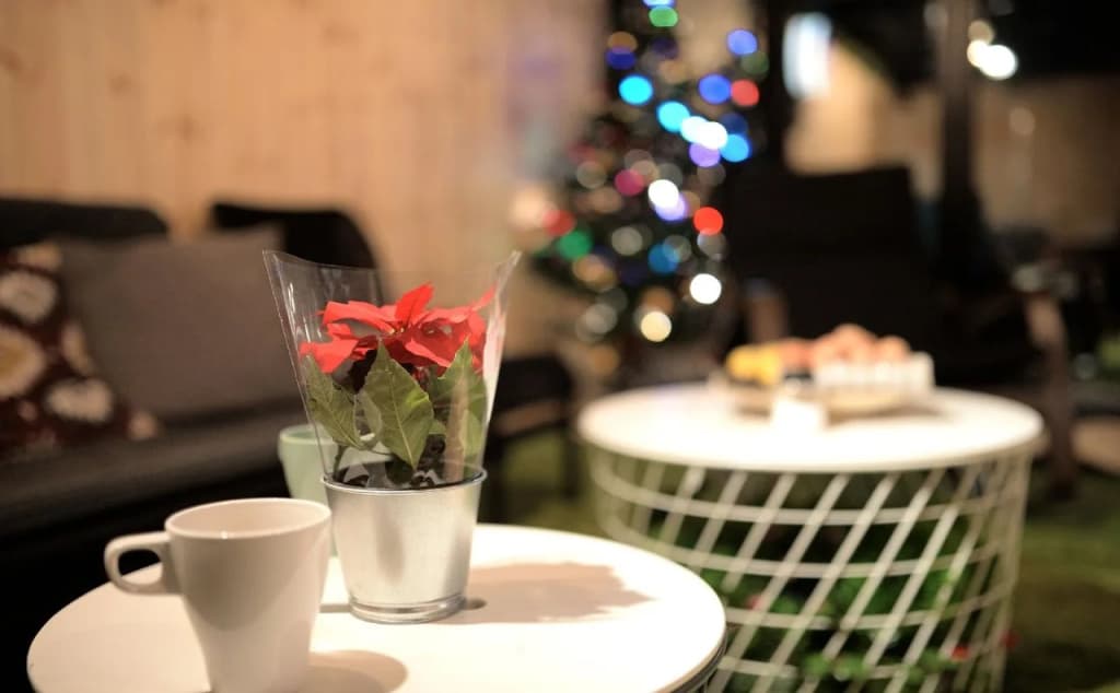 Y's House - Hostel - photo 9