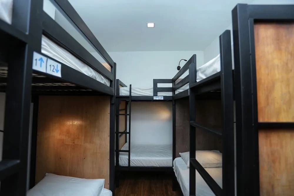 The Bedpackers Hostel - photo 4