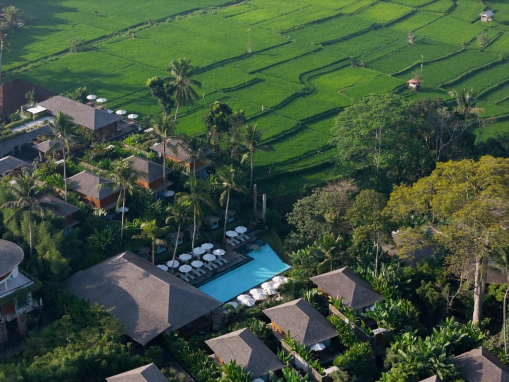 Kappa Senses Ubud Hotel - photo 21