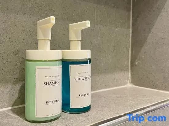Ryan S Inn Studio Apartment - photo 3