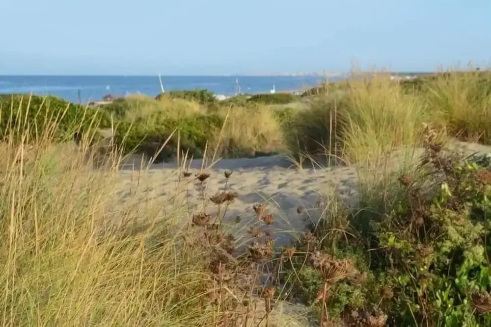 Il Mare di Roma - photo 15