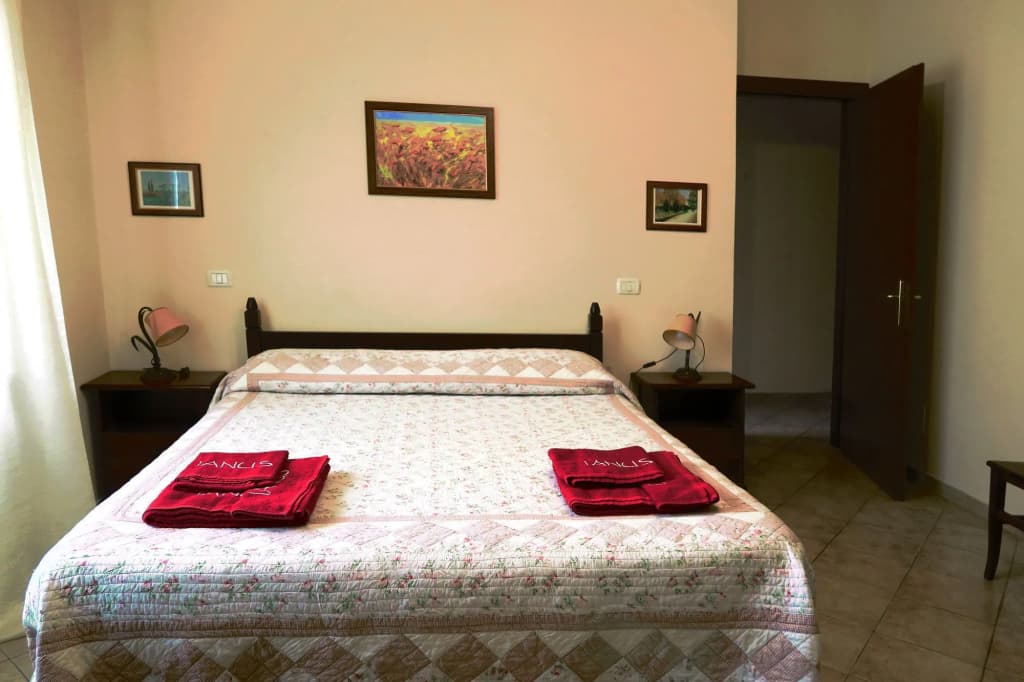 Ianus Guest House - photo 4