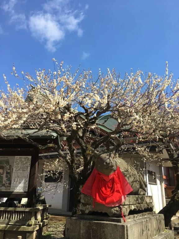Tsubame-ya - Hostel - photo 7