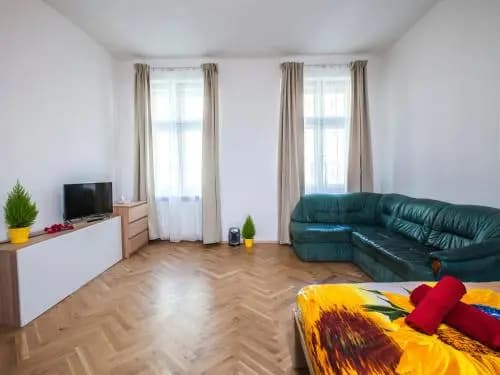 Beautiful Central Apartment Thámova - photo 5