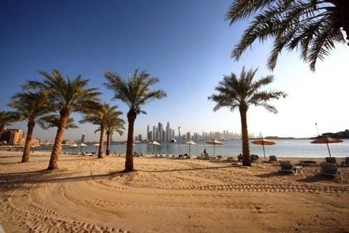 Oceana - photo 8
