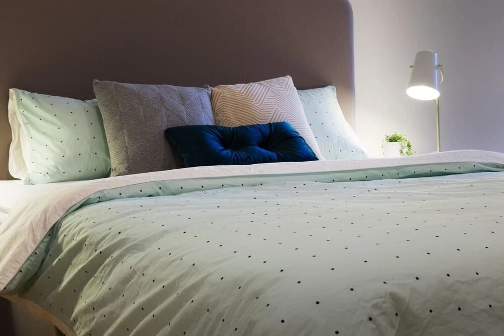Roomerang at Parque 3 - photo 5