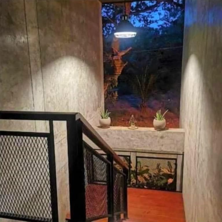 Busaba House - photo 6