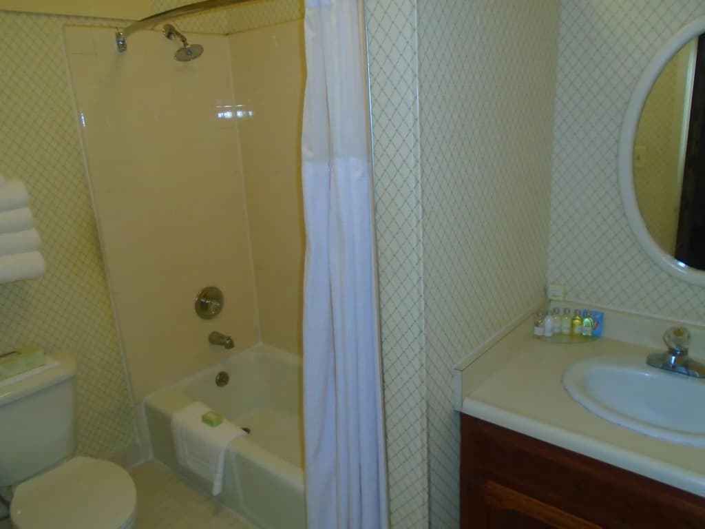 Stanyan Park Hotel - photo 7