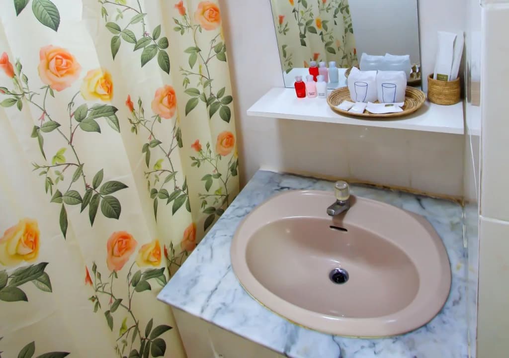 Le Plateau Hotel - photo 7