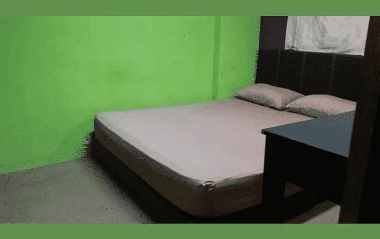 Oasis Guesthouse - photo 5