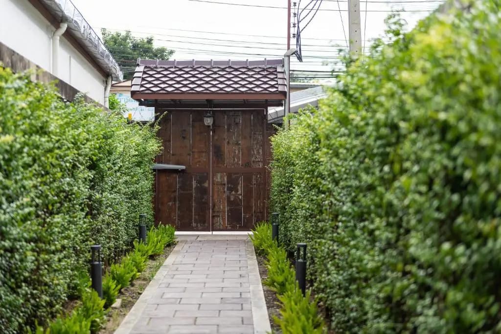 Kasayapi - photo 14