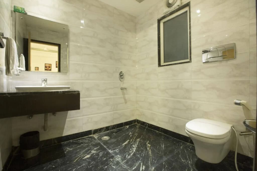 Hotel Krishna Deluxe - photo 8