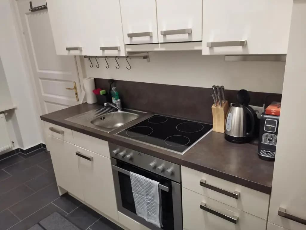 Devich Apartments 1614 - photo 13