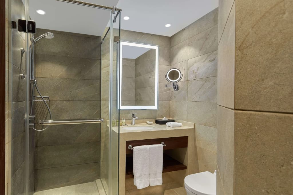 Ramses Hilton - photo 26
