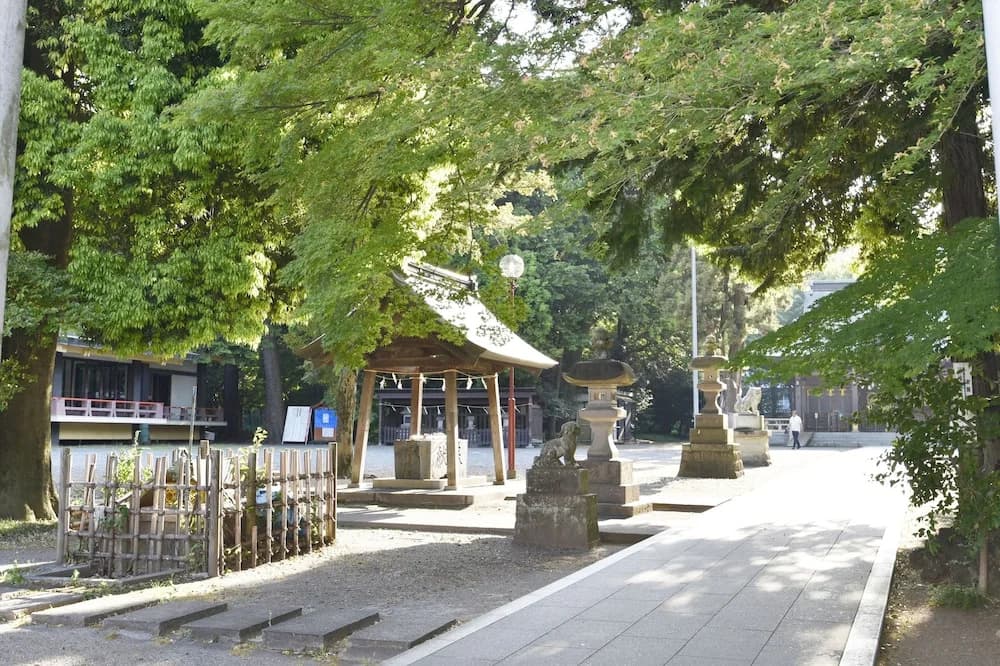 West Kumegawa - photo 1