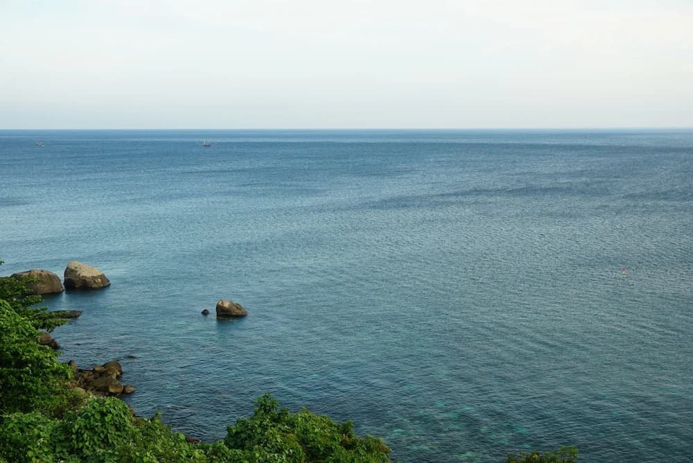 Nha Homestay - photo 17