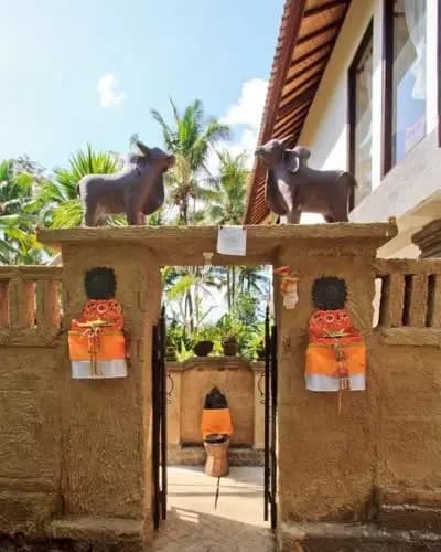 穆拉瓦尔曼宾馆(Mulawarman Guesthouse) - photo 3