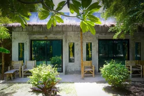 The Blue Parrot - photo 9