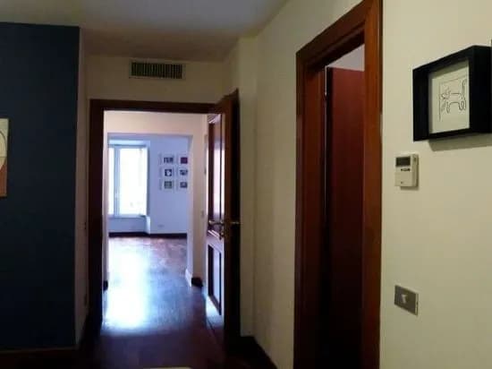 Art Atelier Flat - photo 8