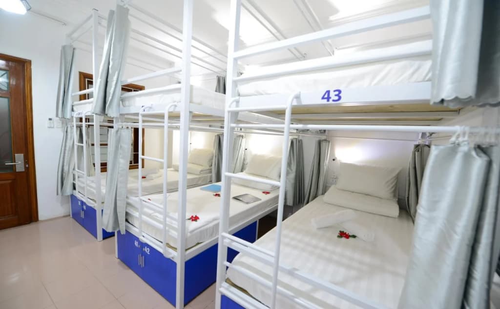 Pillow Backpacker Hostel - photo 5