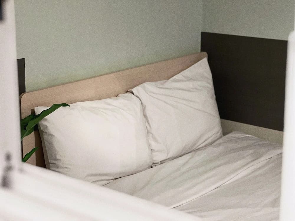 Jnineguesthouse - photo 35