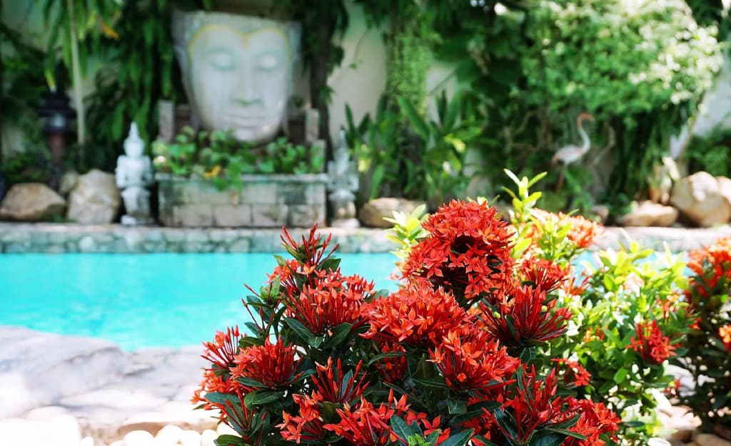 Le Prive Resort - photo 14