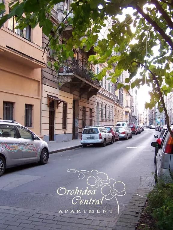 Orchidea Central Apartment - photo 19