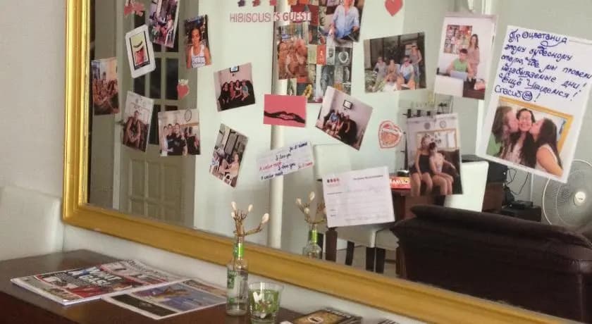 Hibiscus Guesthouse - photo 9